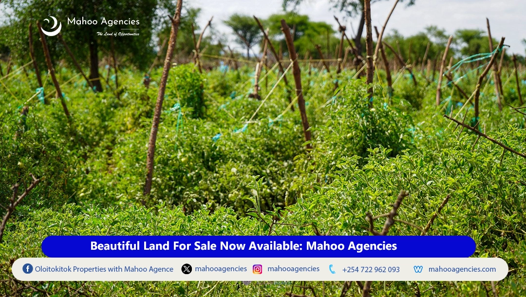 Land for sale, Mahoo Agencies